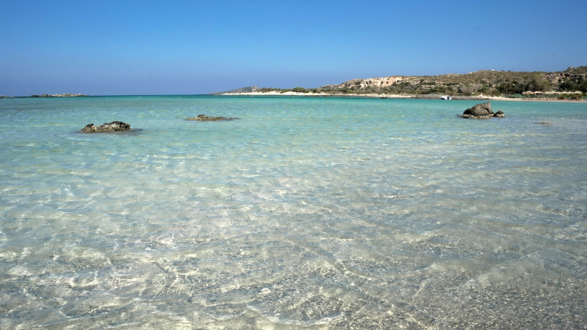 Μια μέρα ευδαιμονίας στην παραλία του Ελαφονησίου