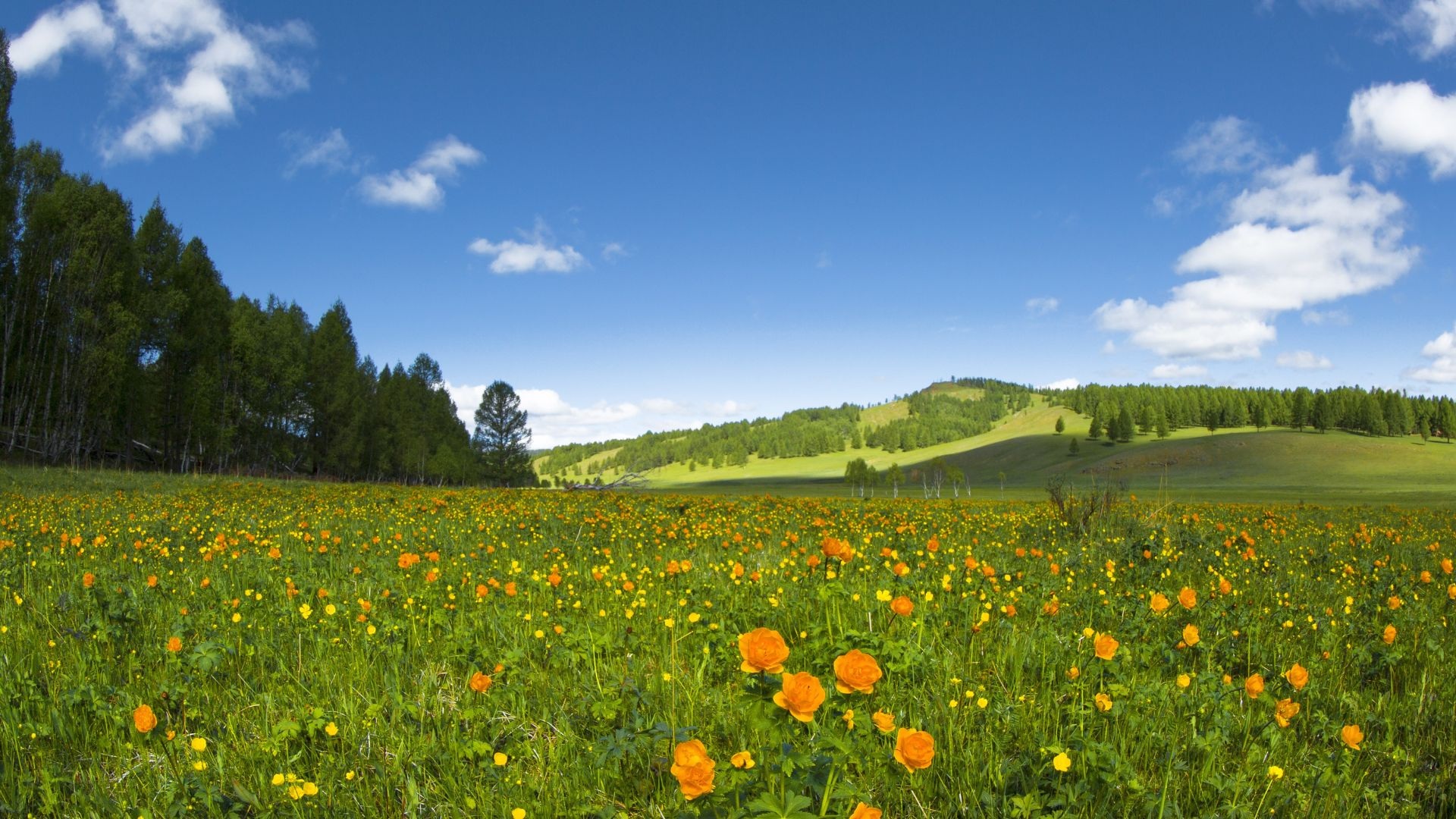 Nature's Transition and Transformations in Crete